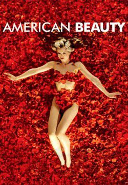 cover American Beauty