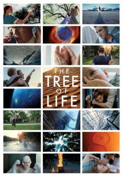 cover The Tree of Life