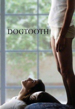 cover Dogtooth