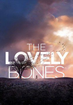 cover The Lovely Bones